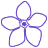 gentian-graphic_48px_line